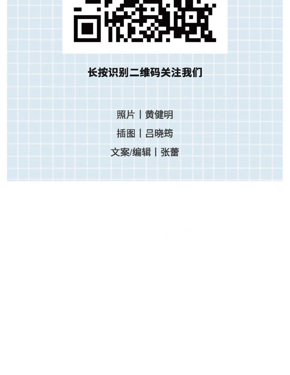 @金溪人，誰“羽”爭鋒！